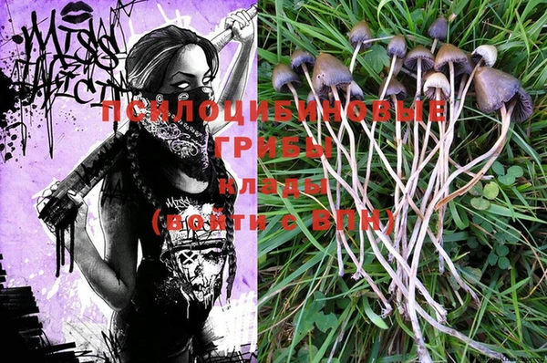 PSILOCYBIN Алексеевка