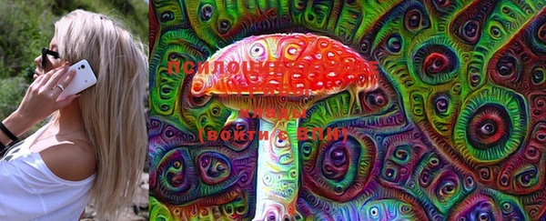 PSILOCYBIN Алексеевка