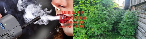 PSILOCYBIN Алексеевка